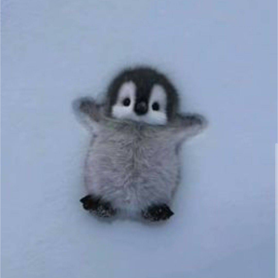 Happy developer using Sentry Studios plugins